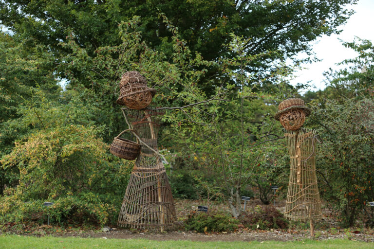 Aoife Patterson - ‘A Walk in the Garden to Look at the Crows’